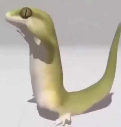 bom dia adm então, queria saber se voce podia ir dar o cu :)