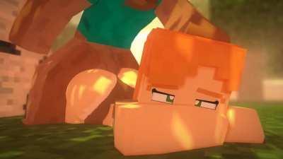 Straight, Animated, Minecraft Porn 16/20