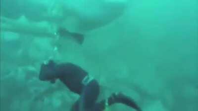 Not sure if this is old or not but I got sweaty palms seeing this in my saved