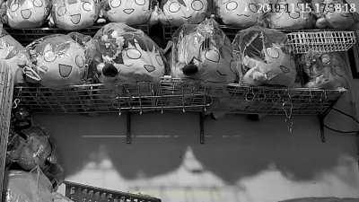 five nights at Mari's (warning: very shiny)