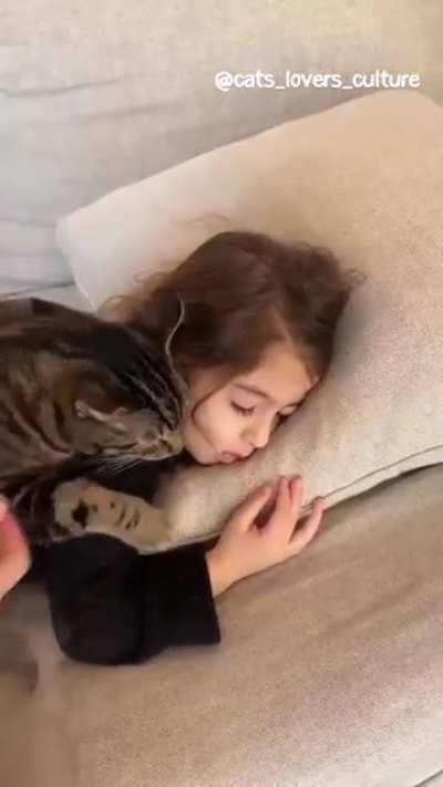 There is absolutely nothing wrong with this cat. He is behaving exactly as intended.