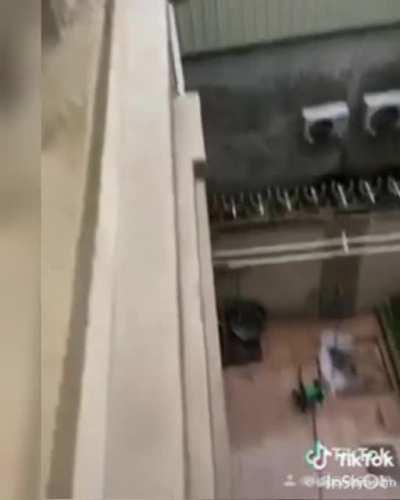 POV: You are guy watching frog