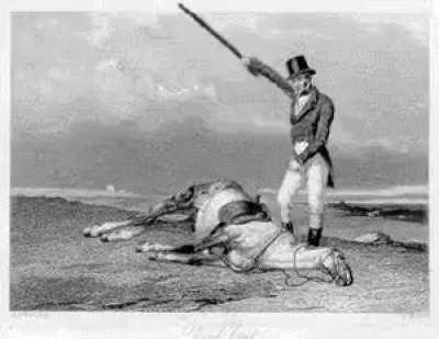 it's been 69 seasons and pathfinder still doesn't have a passive dae think das fucked up