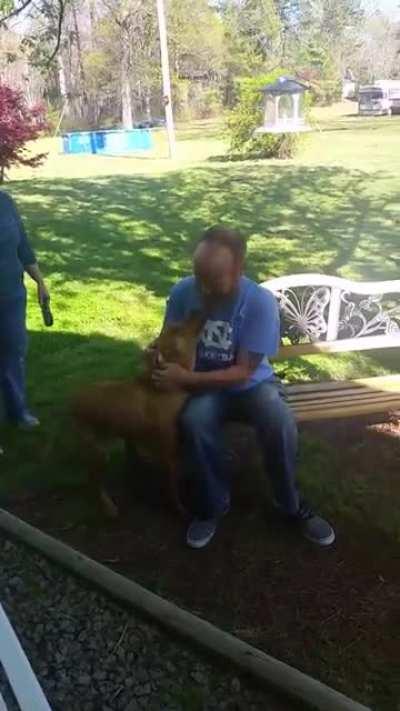 Dog doesn't recognise his owner after owner's immense weight loss...but then he sniffs him.