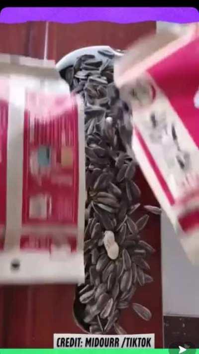 So many plot twists.