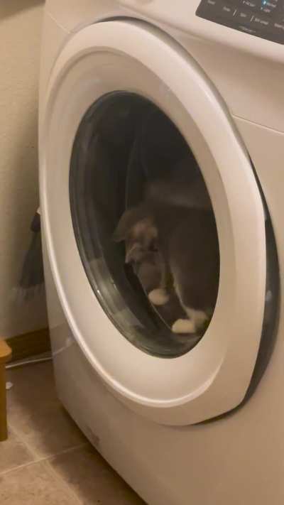 New achievement unlocked…the washer moves!