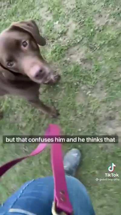 A lighter post (I hope this is allowed)