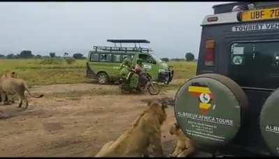 deliveries have to be made