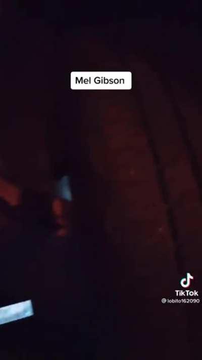 When you run into Mel Gibson...