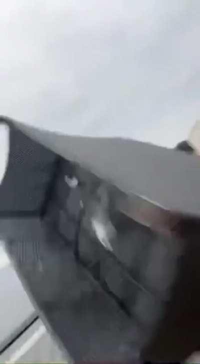 Most intelligent group of Finn’s trying to recycle