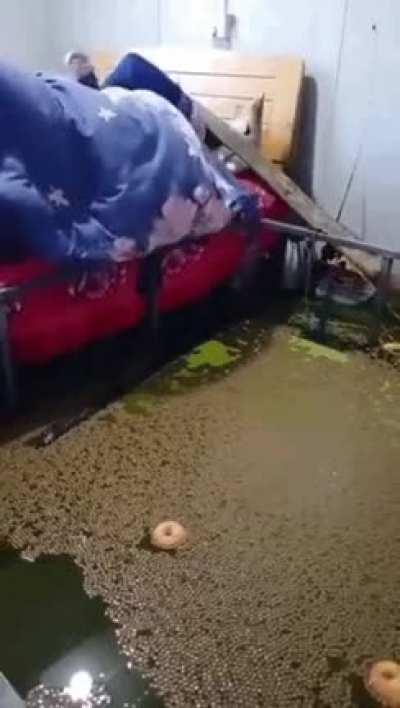 Like my grandpa used to say, 