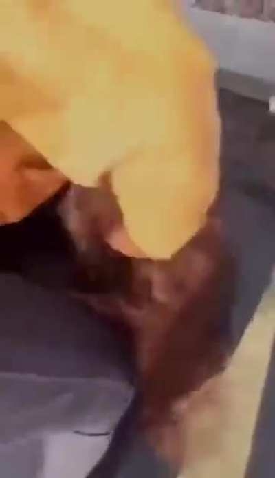 Woman gets beat up for calling women a slur