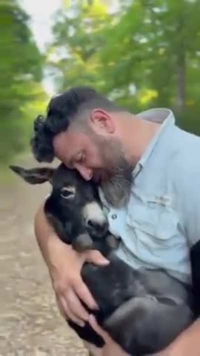 I didn't know I wanted a donkey