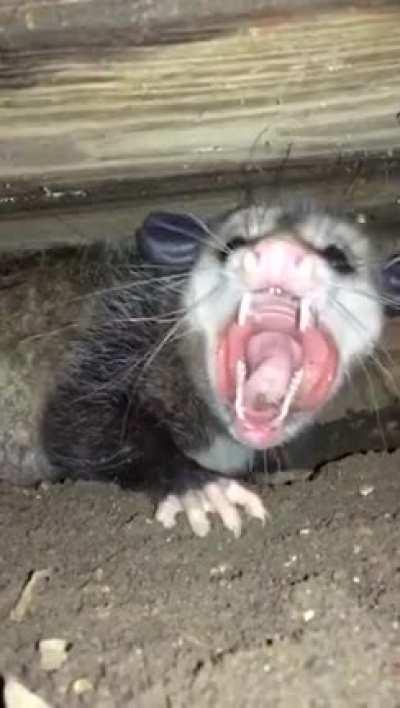 AAAAAAAAAAAAAAAAAAAAAAAAAAAAAAAAAAAAAAAAAAAAAAAAAAAA