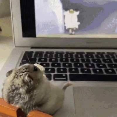 Giving my hampers body dysmorphia :3 