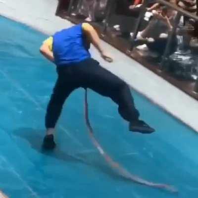 I’ll just mess with this snake