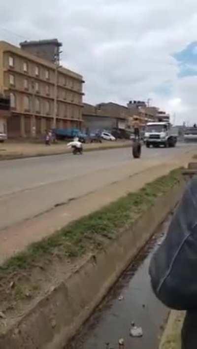 Taming the beast. Close encounters.