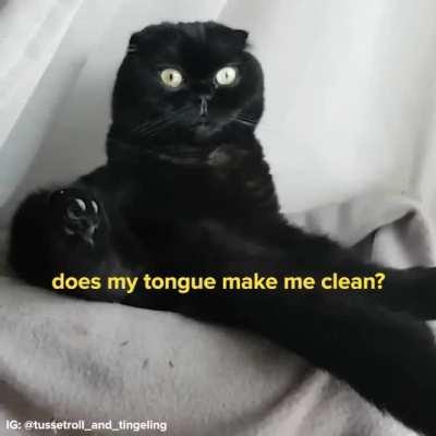 Post Deployment Reintegration Existential Ponderings And Musings On Truly What Is Life In The Here And Meow.