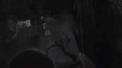 It was nice knowing yall