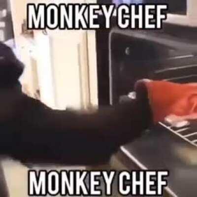 Monkey chef