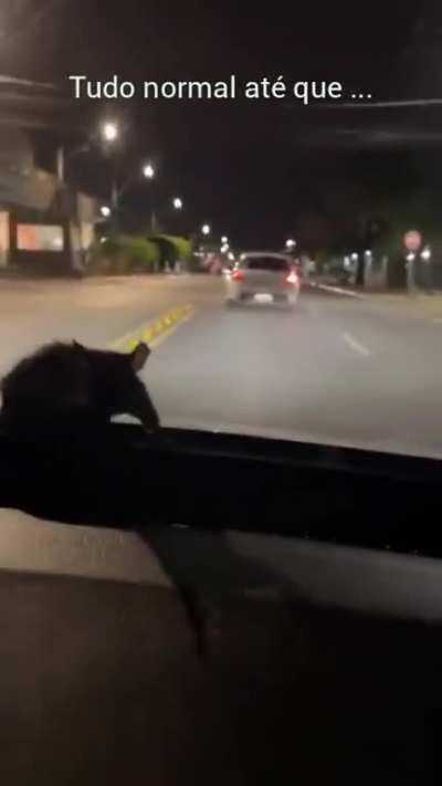 Mete o peeeee😡😡😡😡