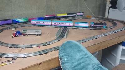 Hoom has painted her trains to be 