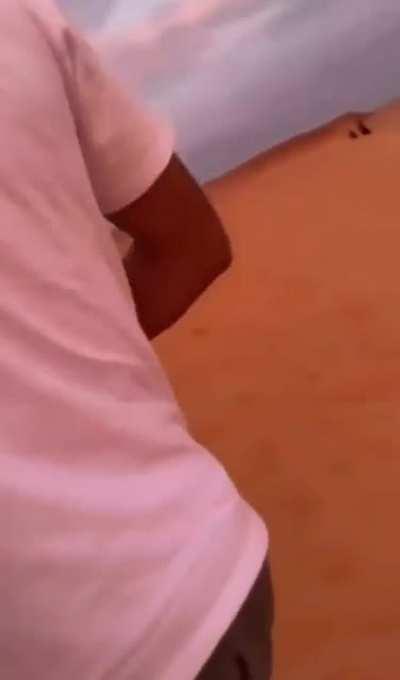 Al habibi wallah wallah