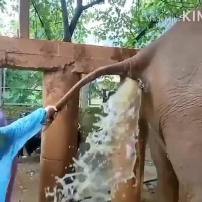 Бурлескнул