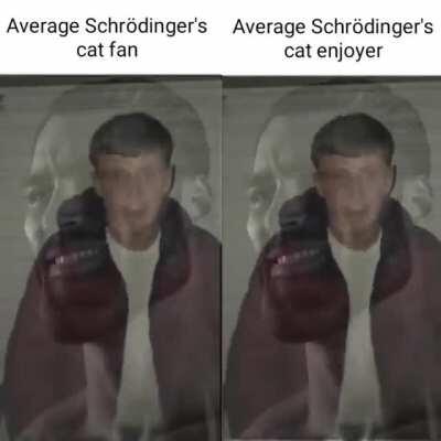 Schrödinger's kitty.