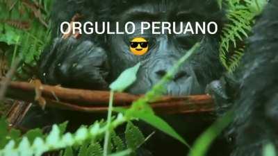 Buena gastronomía no te voy a mentir