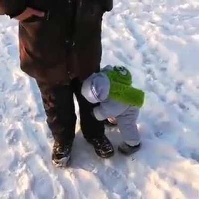 Monkey's first time in snow.