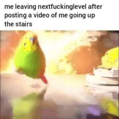 He might even be on the previousfuckinglevel