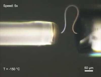 Ice microfibres are flexible and springy (credit: Peizhen Xu et al.)