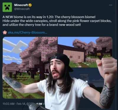 One of my favorite trees!