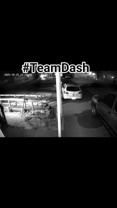 TeamDash wheelchair mushing team R#6 , 2.49 mile night run