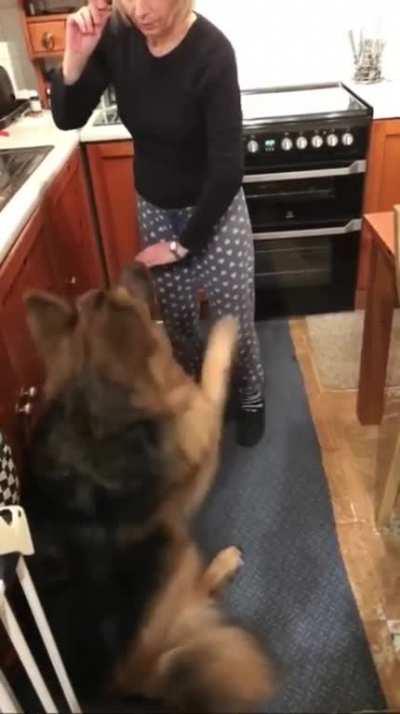 It was going so well