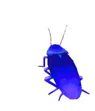 You have been visited by magic rainbow spinning cockroach