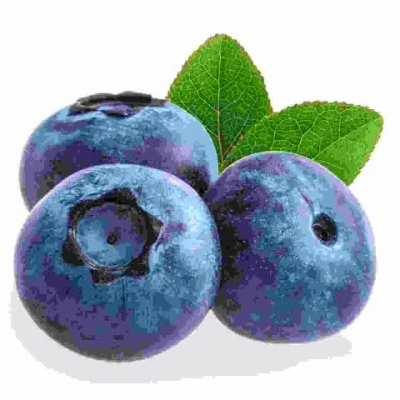 Bluberr
