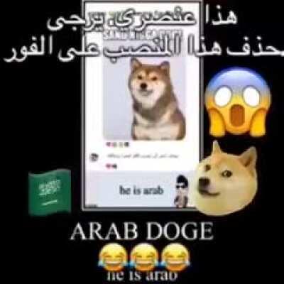 Arab doge???? 🤯🤯🤯