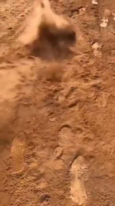 when your trying to get that one spot of dirt off