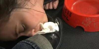 Someone has created a compilation based on her interview and some scenes (Audio ON)