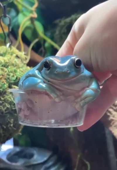 Some Todd for your day:)