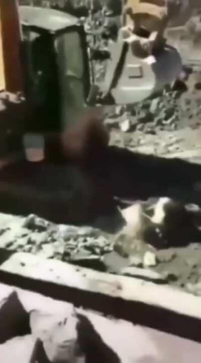 What did they expect to happen