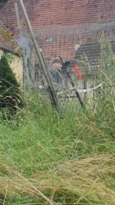 Wingl wongl und der Terror