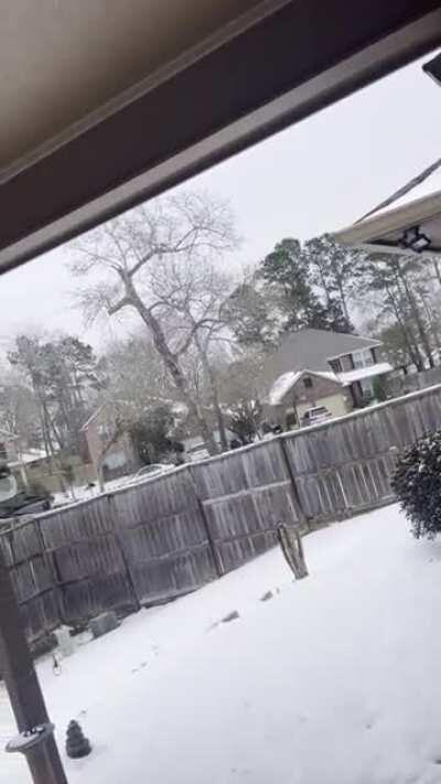 The sounds of who knows what echoing around Lake Conroe, TX yesterday afternoon