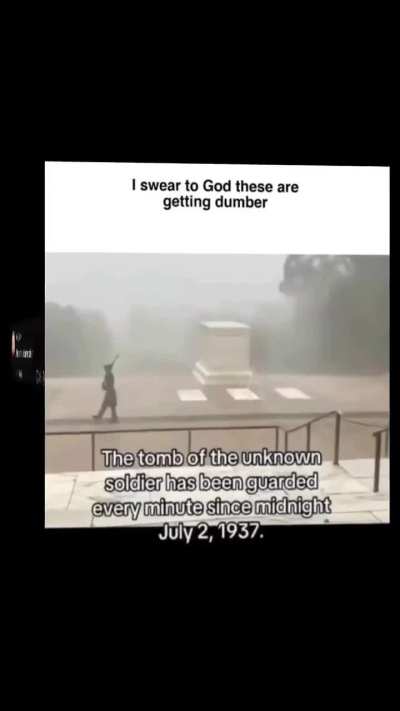 please find me more like this im begging