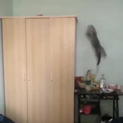 When you're lazy but your kitten is a fetch master