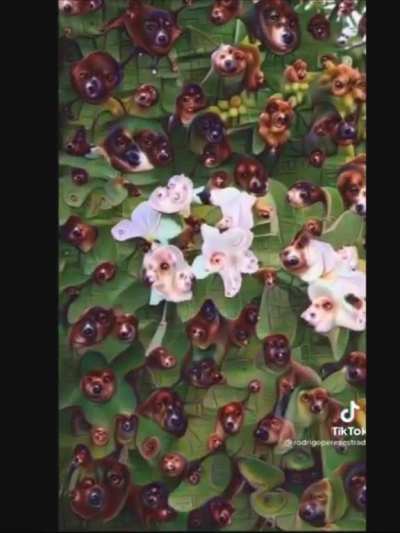 Example of what should be flaired as F***ing cursed