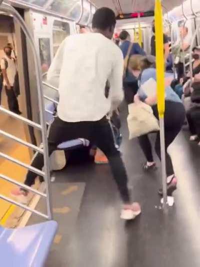 Ny subway freak out on the L .