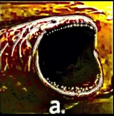a.